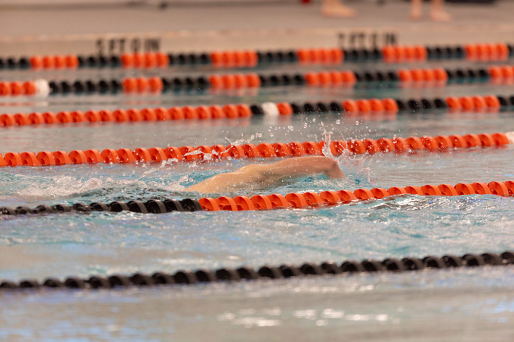 %_tempFileName1M6A6653%