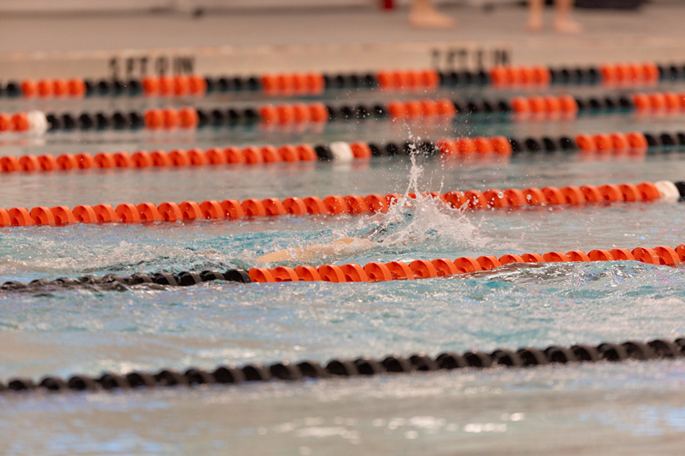 %_tempFileName1M6A6654%