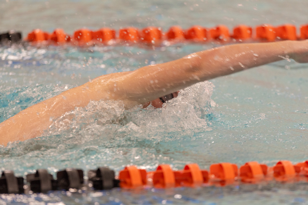 %_tempFileName1M6A6660%