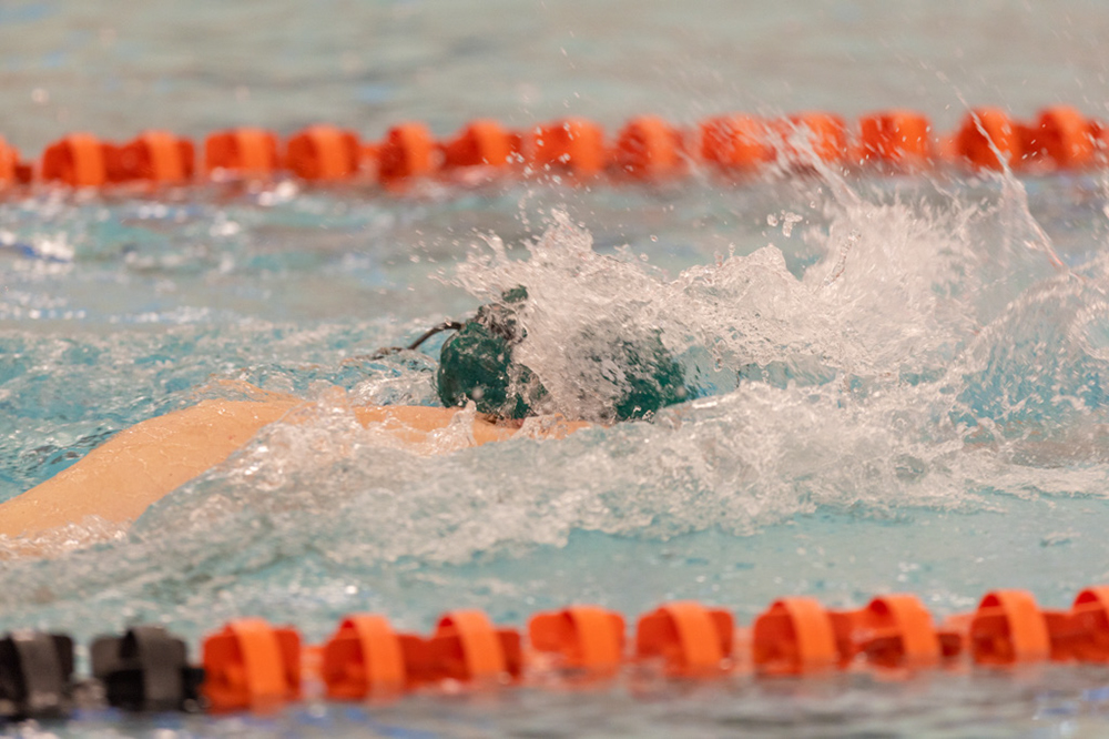 %_tempFileName1M6A6662%