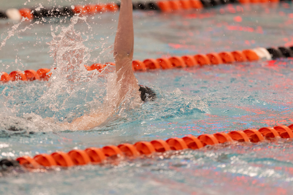 %_tempFileName1M6A6681%