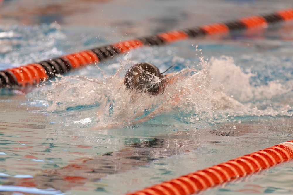 %_tempFileName1M6A6717%