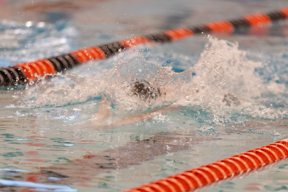 %_tempFileName1M6A6718%