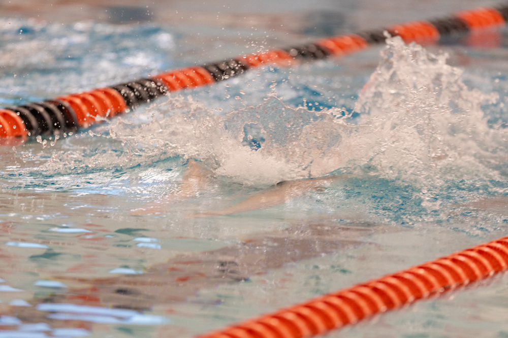 %_tempFileName1M6A6719%