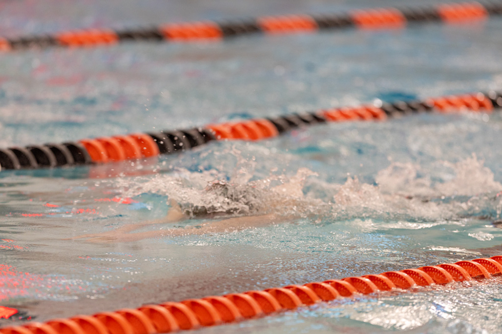 %_tempFileName1M6A6725%