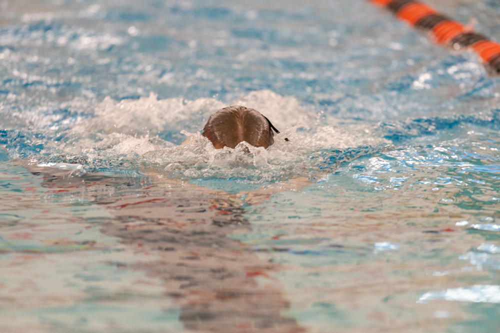 %_tempFileName1M6A6756%