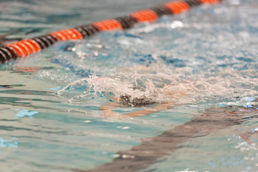 %_tempFileName1M6A6768%