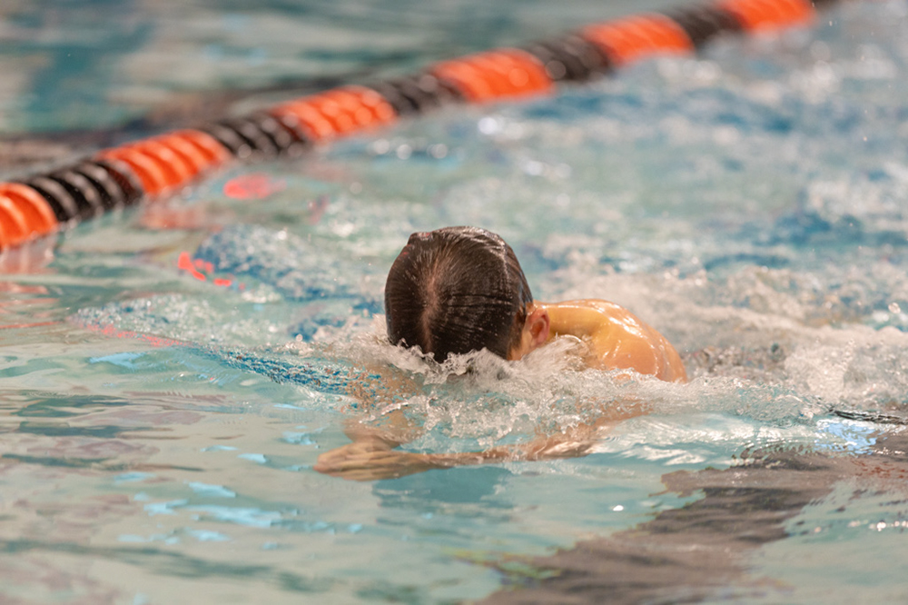 %_tempFileName1M6A6776%