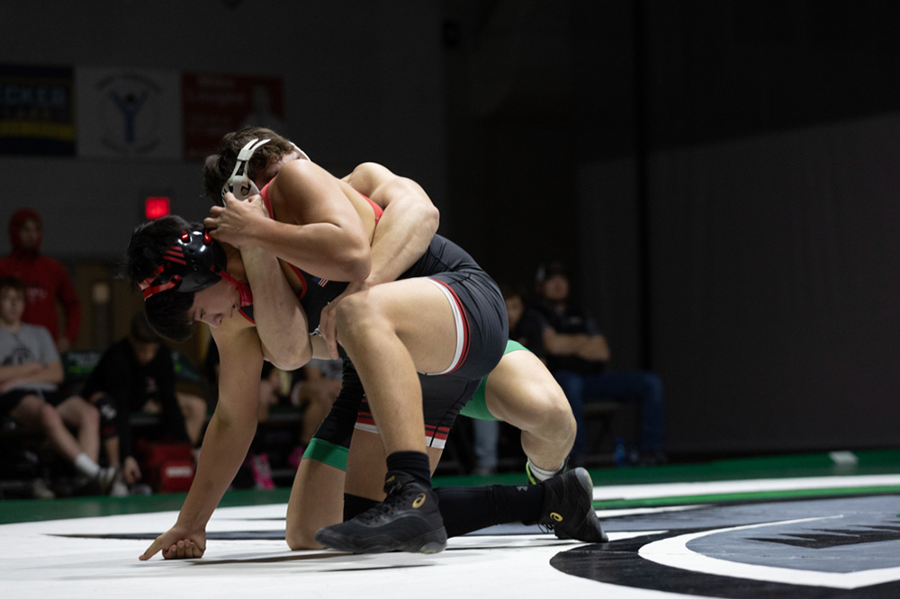 %_tempFileName1M6A1733%