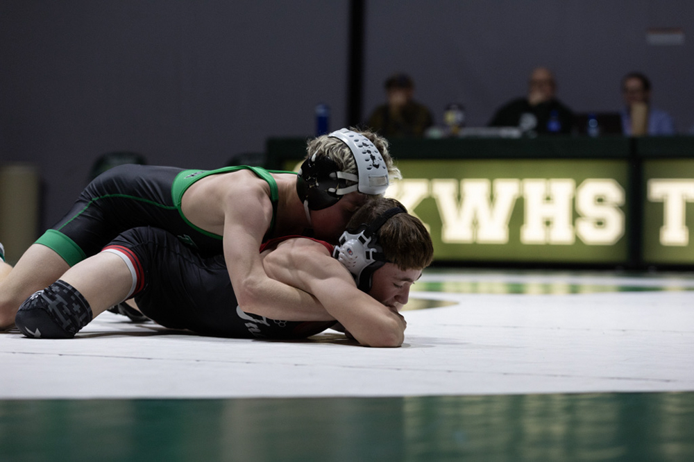 %_tempFileName1M6A9517%