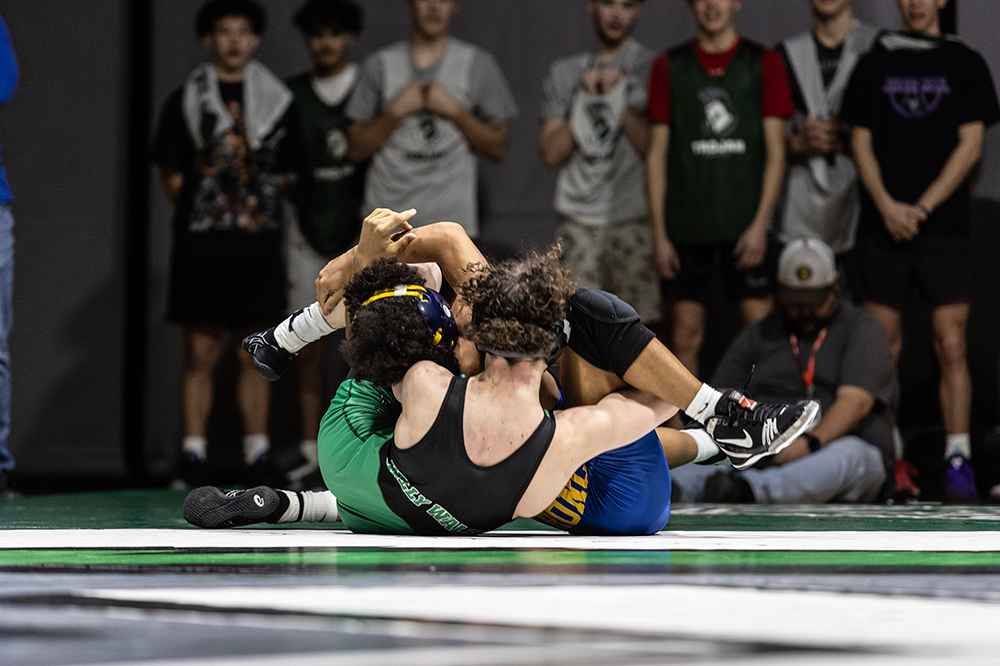 %_tempFileName1M6A7815%