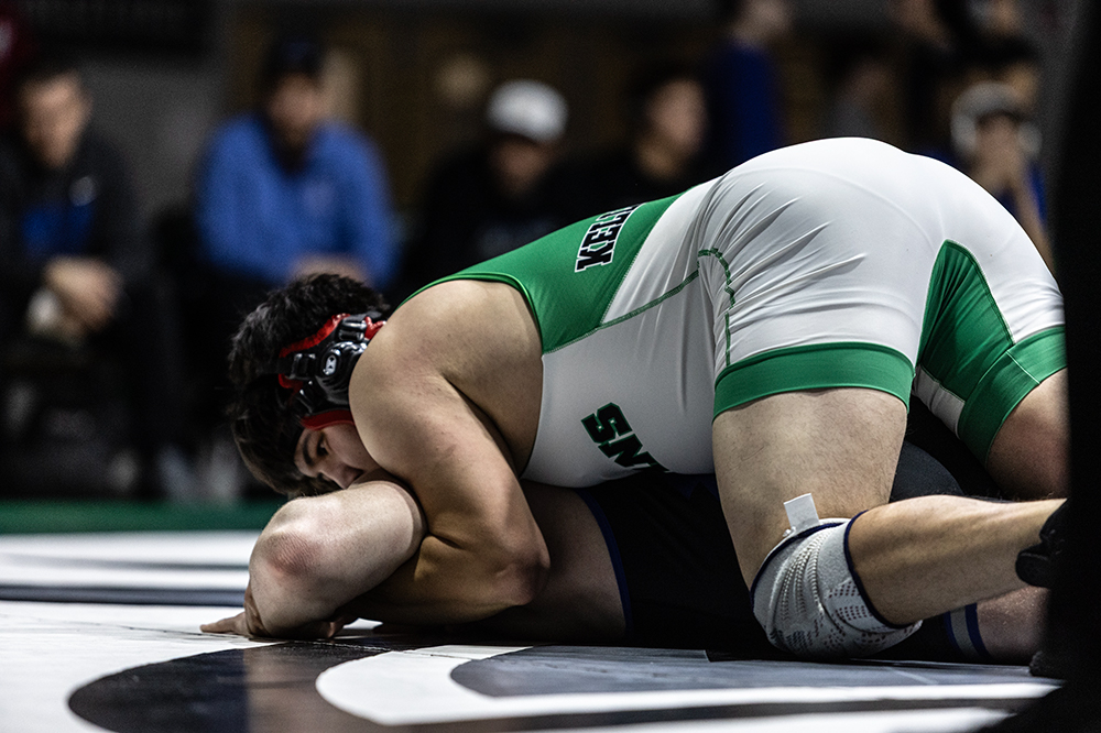 %_tempFileName1M6A6295%