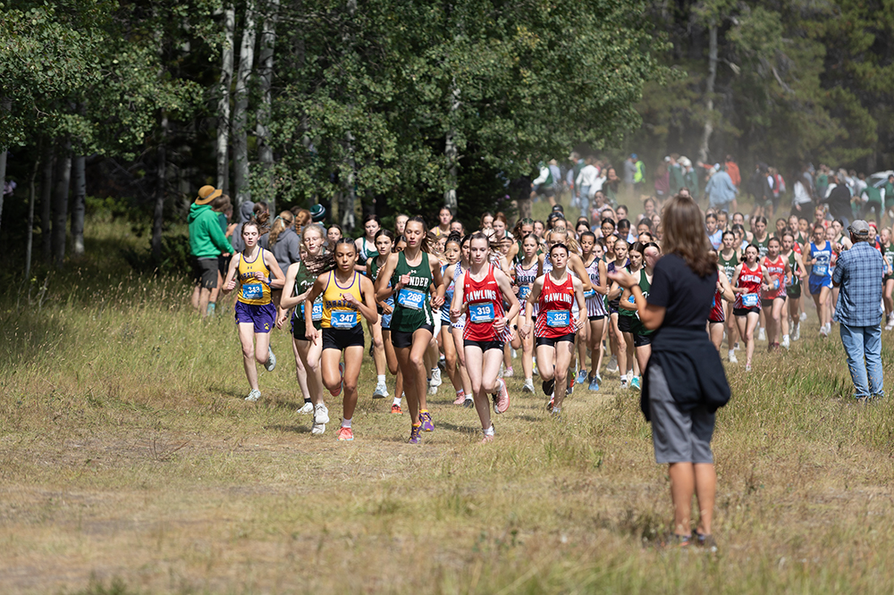 %_tempFileName1M6A7461%