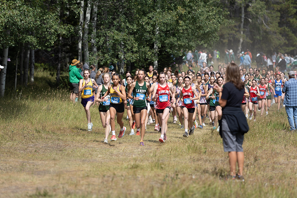 %_tempFileName1M6A7463%