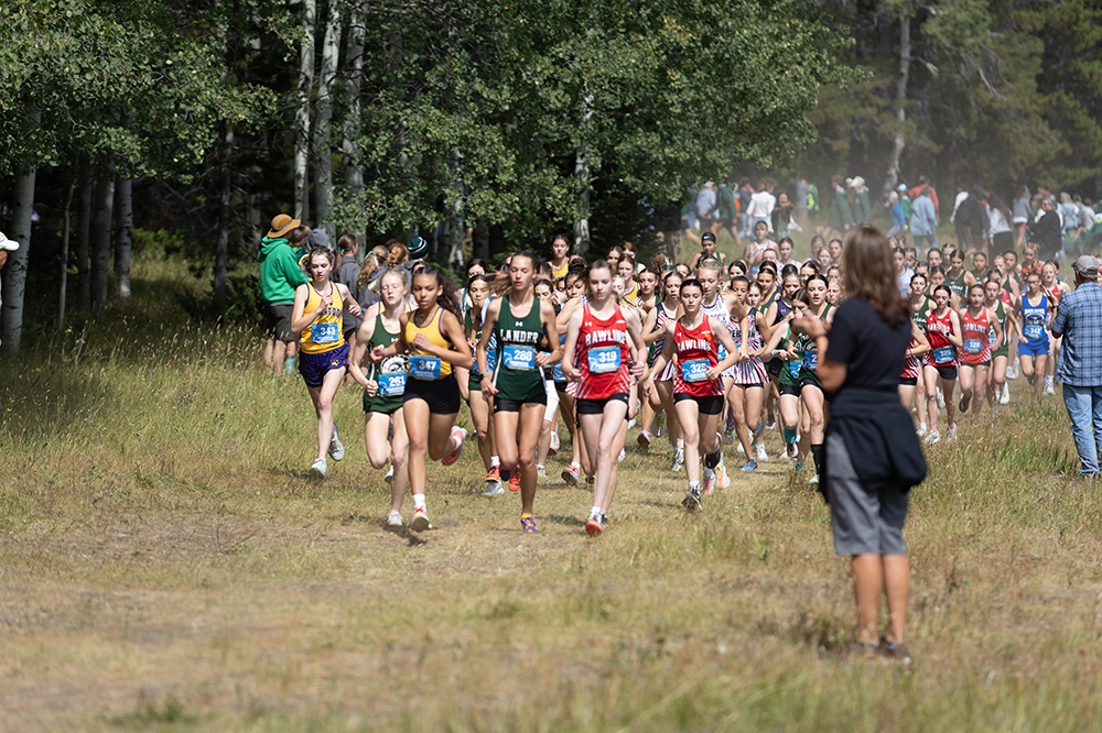 %_tempFileName1M6A7464%