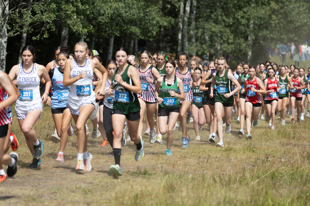 %_tempFileName1M6A7470%