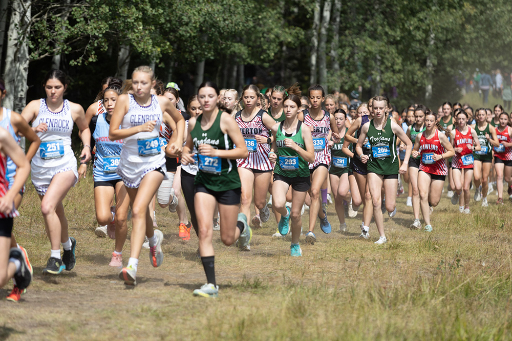 %_tempFileName1M6A7471%