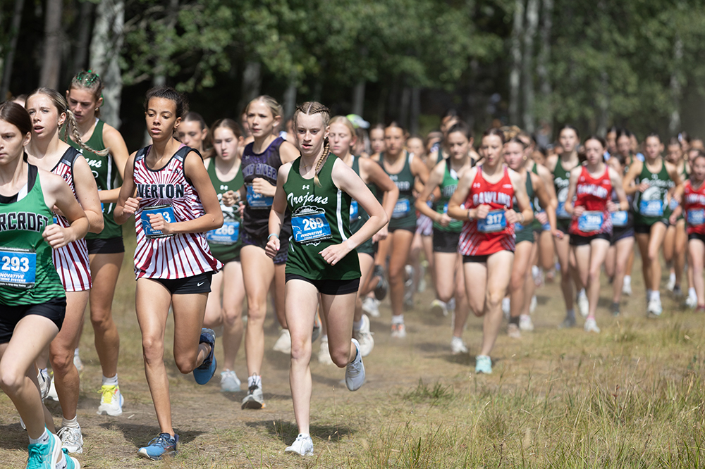 %_tempFileName1M6A7484%