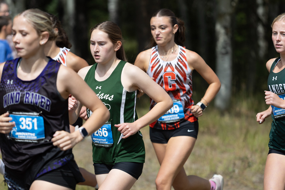 %_tempFileName1M6A7502%