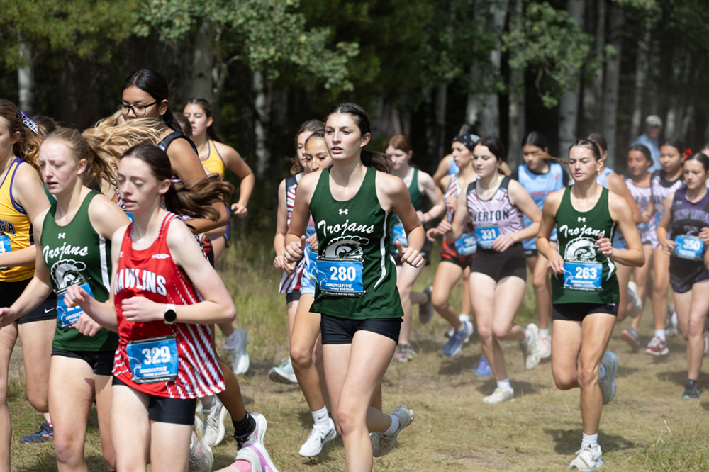 %_tempFileName1M6A7505%