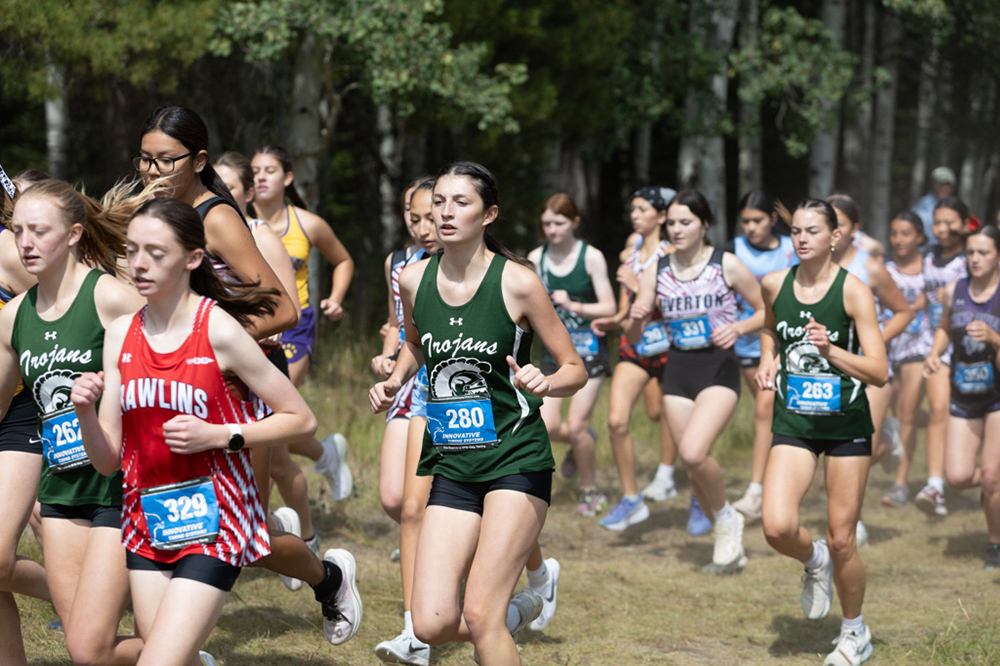 %_tempFileName1M6A7506%