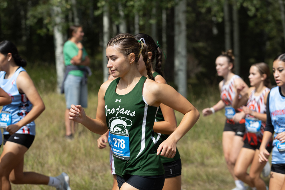 %_tempFileName1M6A7528%