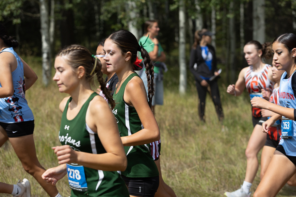 %_tempFileName1M6A7531%