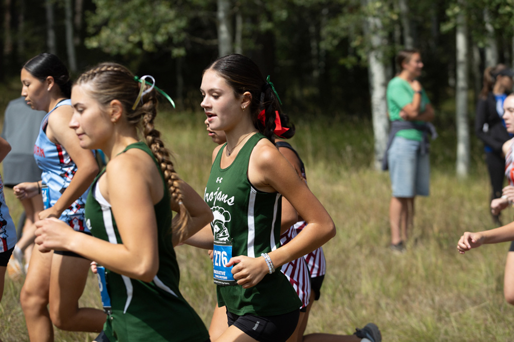 %_tempFileName1M6A7533%