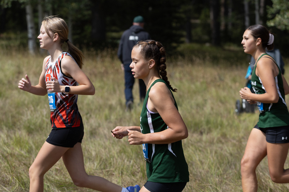 %_tempFileName1M6A7543%