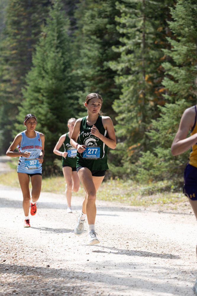 %_tempFileName1M6A7559%