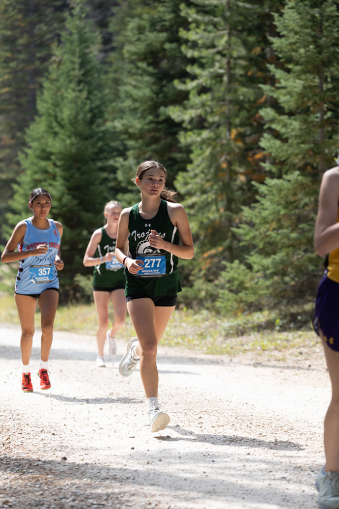 %_tempFileName1M6A7560%