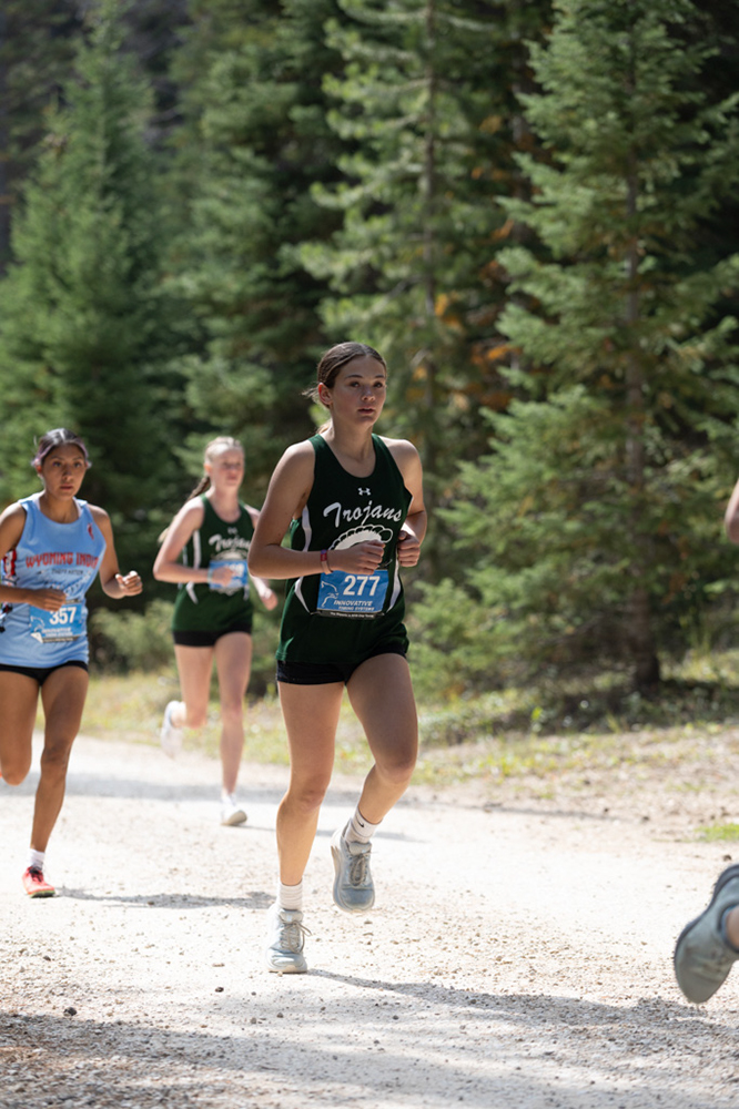 %_tempFileName1M6A7563%