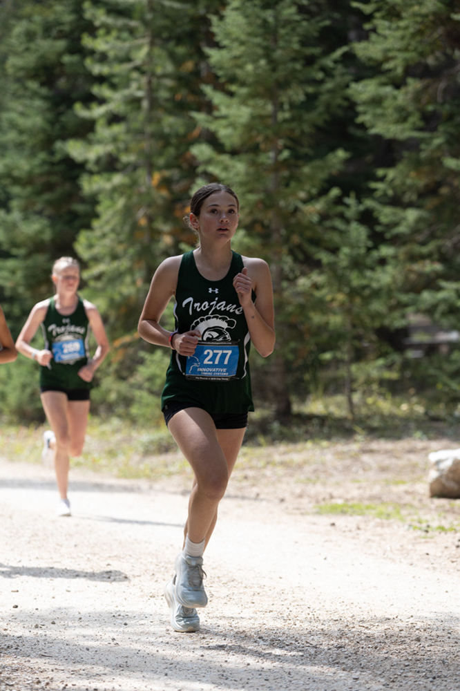 %_tempFileName1M6A7565%