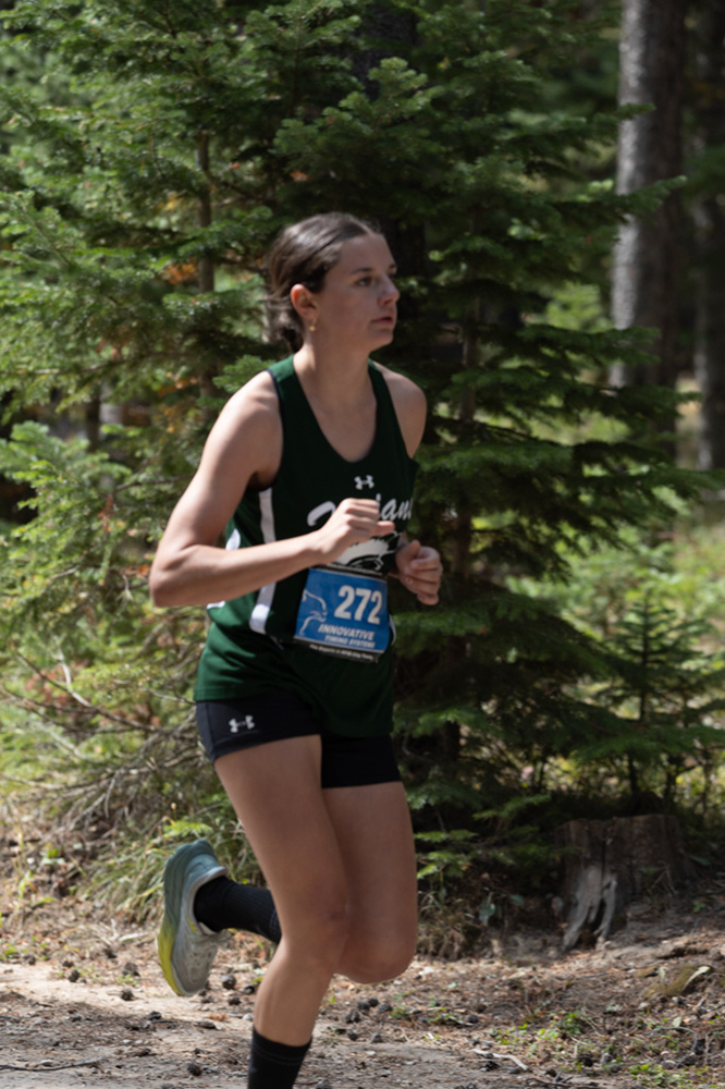 %_tempFileName1M6A7593%