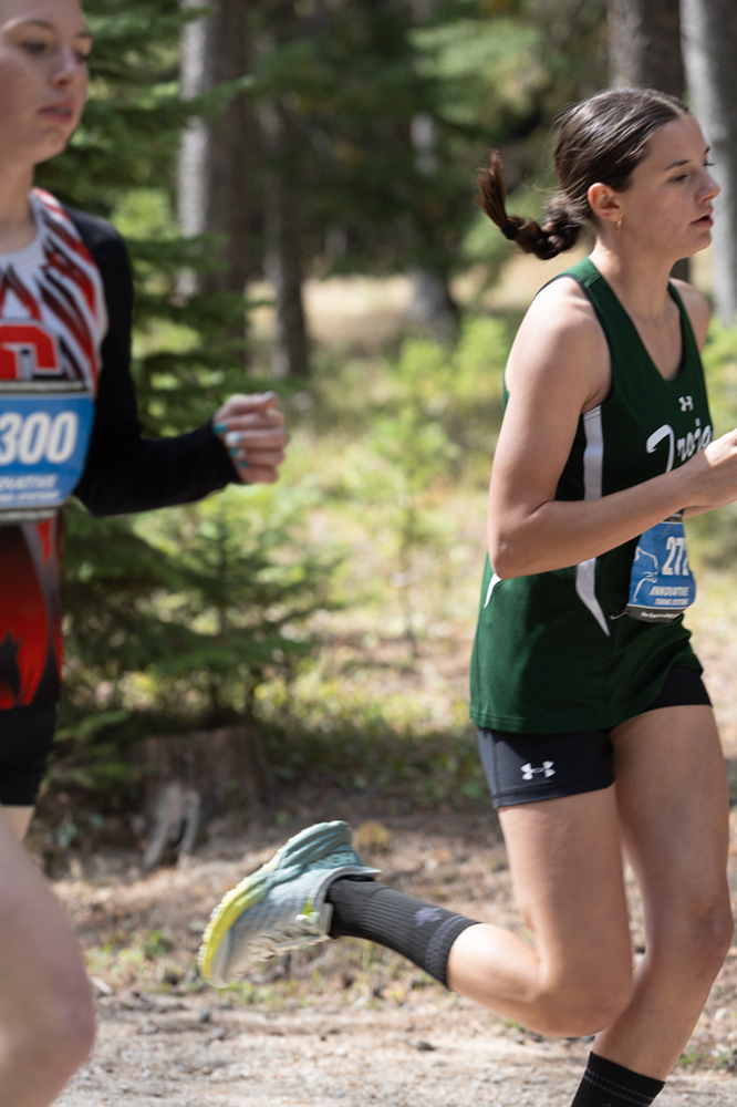 %_tempFileName1M6A7598%