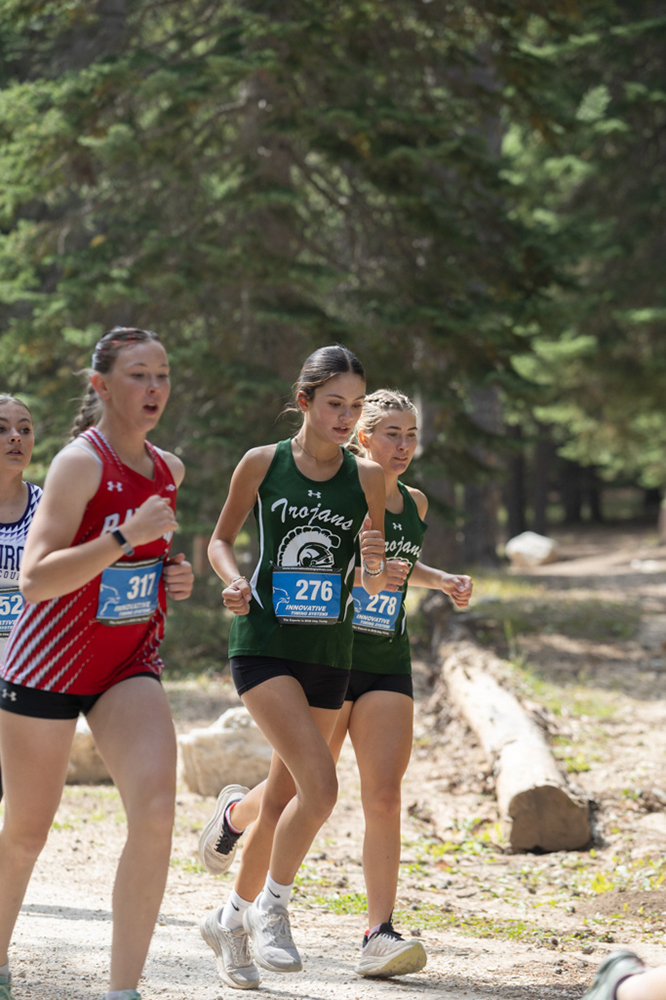 %_tempFileName1M6A7617%