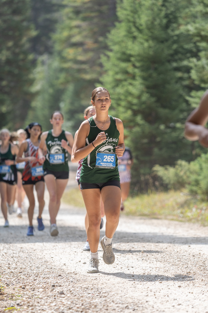 %_tempFileName1M6A7633%