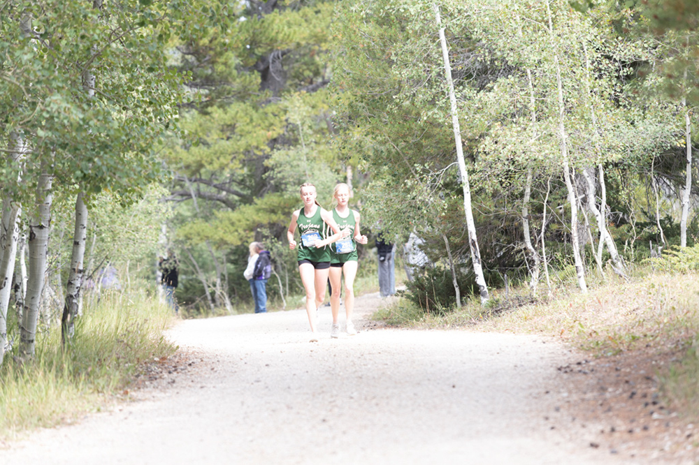 %_tempFileName1M6A7677%