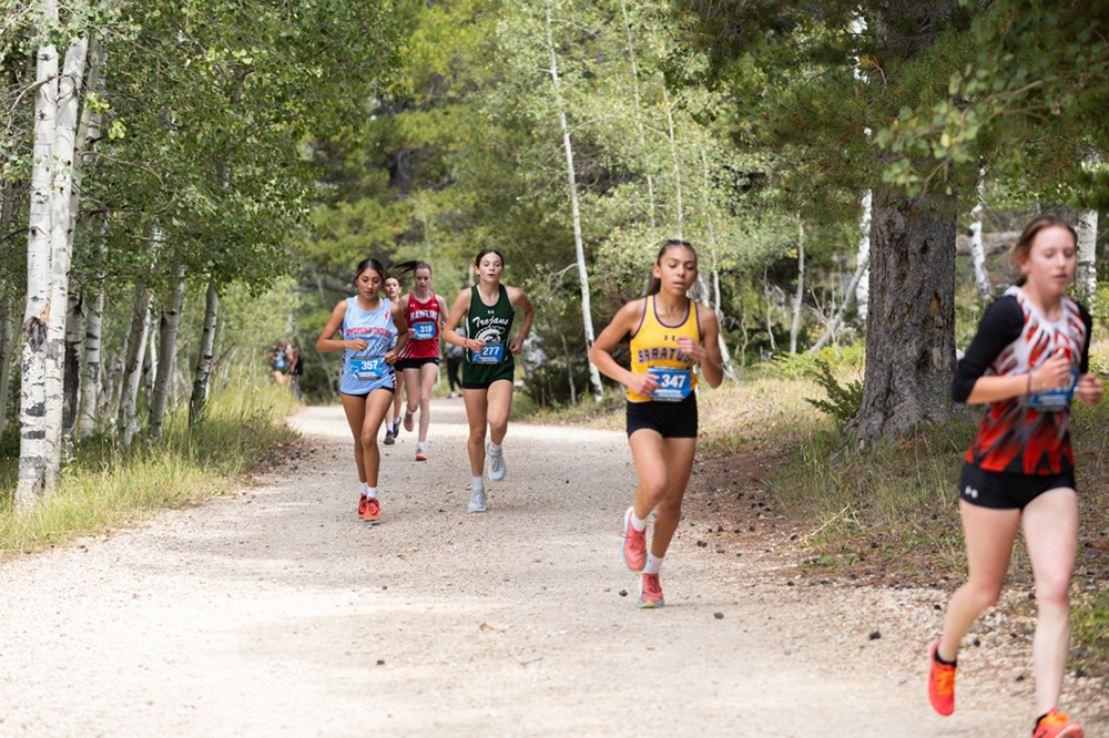 %_tempFileName1M6A7734%