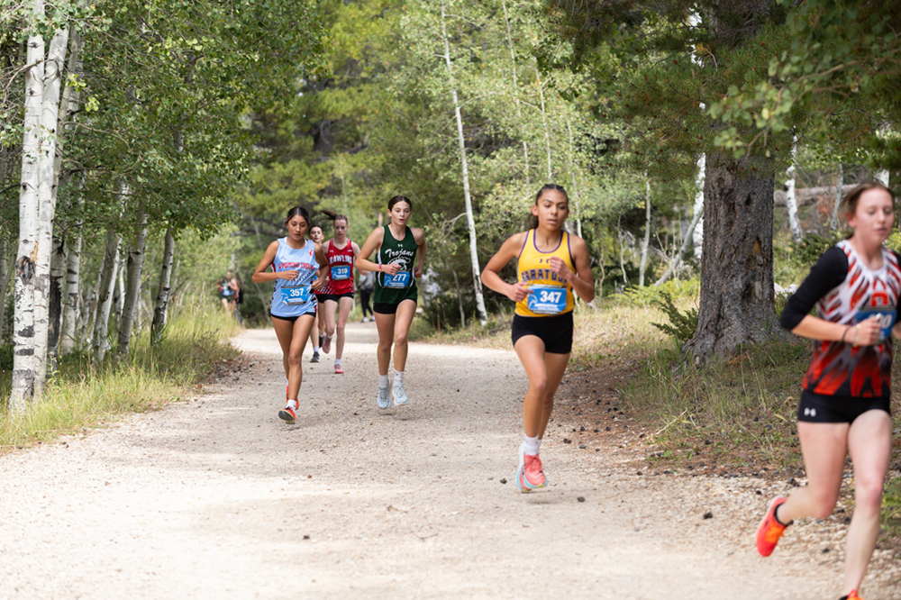 %_tempFileName1M6A7735%