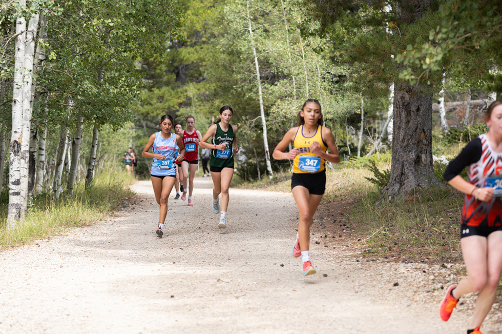 %_tempFileName1M6A7736%