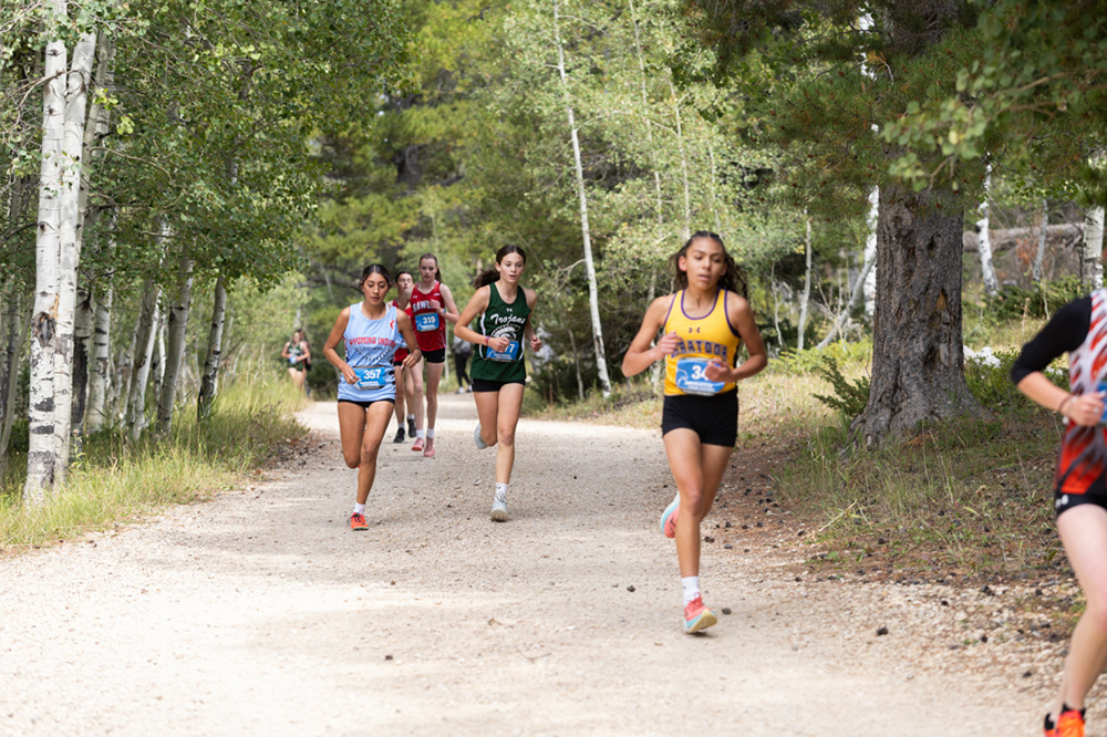 %_tempFileName1M6A7737%