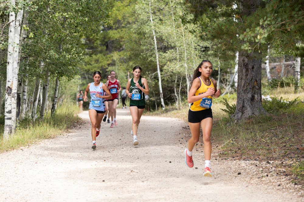 %_tempFileName1M6A7738%