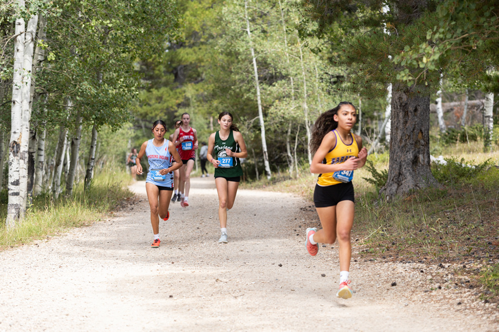 %_tempFileName1M6A7739%