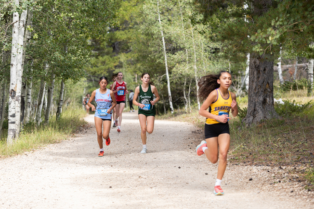 %_tempFileName1M6A7740%