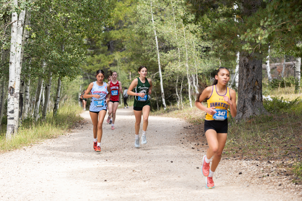 %_tempFileName1M6A7742%