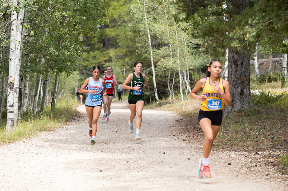 %_tempFileName1M6A7743%