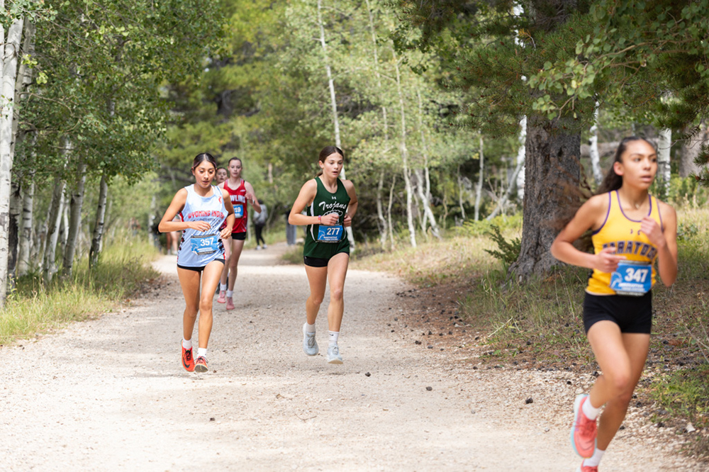 %_tempFileName1M6A7744%