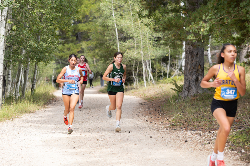 %_tempFileName1M6A7745%