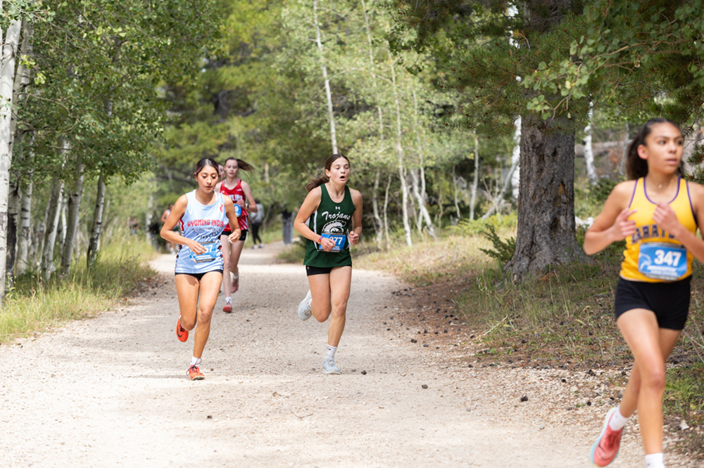 %_tempFileName1M6A7746%